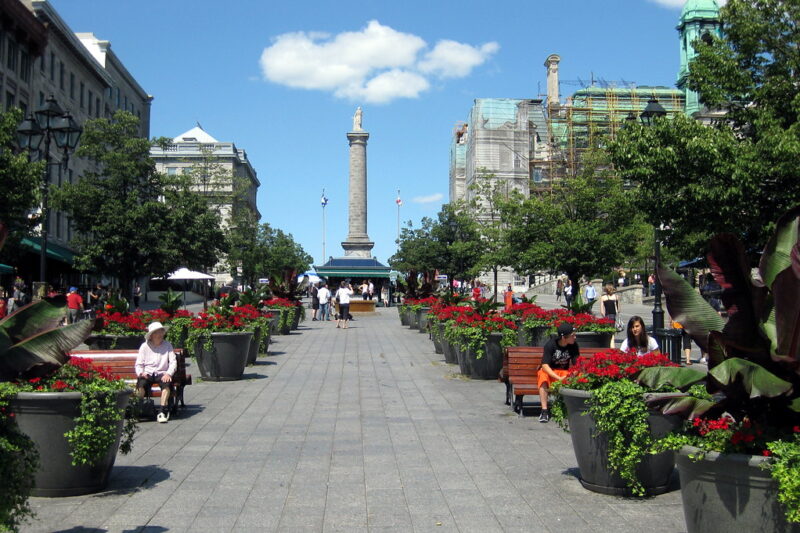 Exploring Old Montreal: The Ultimate Walking Tour Guide for Travelers