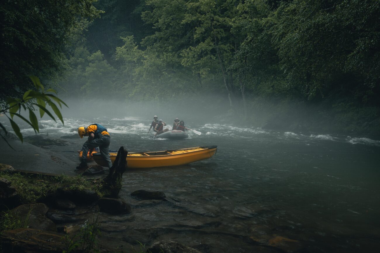 Top Day Trips from Brisbane You Can't Miss: Experience Queensland’s Best in a Day