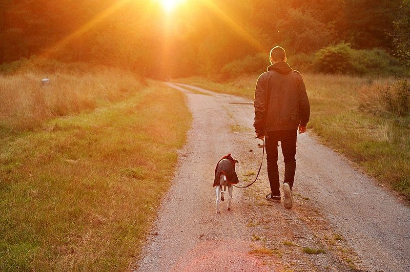 Walking: The Underrated Form of Exercise That Can Transform Your Health